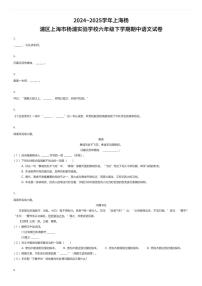 2024~2025学年上海杨浦区上海市杨浦实验学校六年级下学期期中语文试卷（有答案解析）