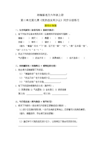 小学语文统编版（2024）六年级上册我的战友邱少云精品测试题