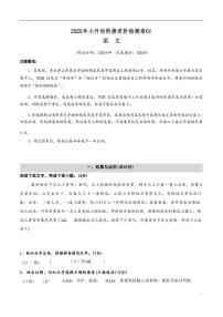 【小升初】统编版2025年 衔接进阶检测卷01 语文衔接过关练习
