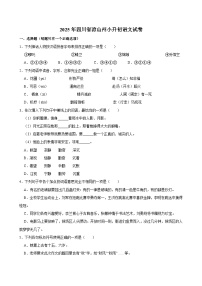 2025年四川省凉山州小升初语文试卷