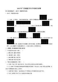 2025年广东省湛江市小升初语文试卷
