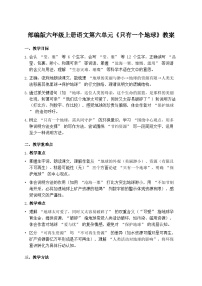 小学语文统编版（2024）六年级上册只有一个地球教案