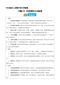 期中复习训练专题09 非连续性文本阅读（原卷+答案）2025-2026学年六年级语文上学期（统编版）