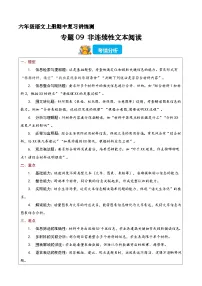期中复习训练专题09 非连续性文本阅读（原卷+答案）2025-2026学年六年级语文上学期（统编版）
