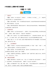 期中复习训练专题10 习作（原卷+答案）2025-2026学年六年级语文上学期（统编版）