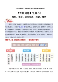 期中训练专题 03 病句、修辞、说明方法、理解、排序（原卷+答案）2025-2026学年六年级语文上册 （统编版）