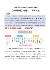 期中训练专题 07 课内阅读（原卷+答案）2025-2026学年六年级语文上册 （统编版）