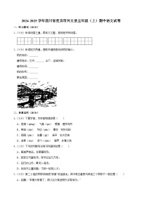 2024-2025学年四川省宜宾市兴文县五年级（上）期中语文试卷