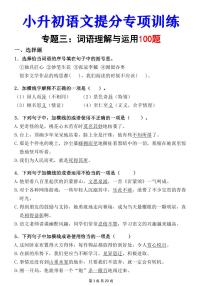 小升初语文专项提分词语理解与运用专练含答案