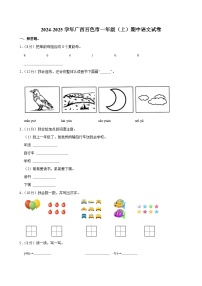 2024-2025学年广西百色市一年级（上）期中语文试卷