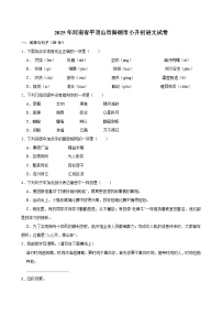 2025年河南省平顶山市舞钢市小升初语文试卷