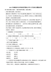 2025年湖南省长沙市雨花区雅礼中学小升初语文模拟试卷