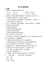 小学统编版（2024）白鹭综合训练题