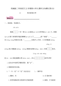统编版（2024）二年级上册（2024）16 难忘的泼水节练习题