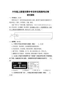 语文园地——2025-2026学年六年级上册语文期中专项专项高频考点卷（统编版）（含答案）