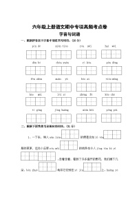 字音与词语——2025-2026学年六年级上册语文期中专项专项高频考点卷（统编版）（含答案）