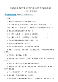 统编版（2024）五年级上册少年中国说测试题