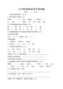 人教版3小升初成语专项练习  含答案