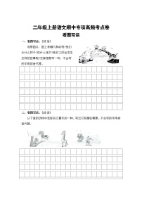 看图写话——2025-2026学年二年级上册语文期中专项高频考点卷（统编版）（含答案）