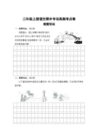 看图写话——2025-2026学年二年级上册语文期中专项高频考点卷（统编版）（含答案）