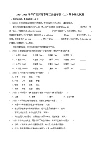 2024-2025学年广西河池市环江县五年级（上）期中语文试卷