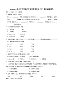 2024-2025学年广东省湛江市吴川市四年级（上）期中语文试卷