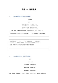 习题含答案 专题10：诗歌鉴赏-2023年小升初语文高频考点100题（部编版）