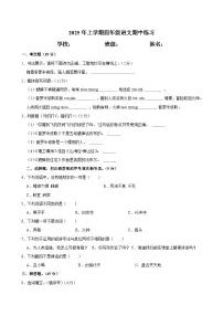 湖南省长沙市宁乡市西部六乡镇2025-2026学年四年级上学期期中考试语文试题