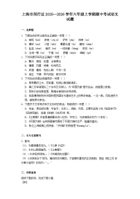 上海市闵行区2025—2026学年六年级上学期期中考试语文试题（含答案及解析）