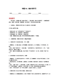 专题06：综合性学习 2025-2026学年上学期六年级语文期中复习题型专练(含答案）