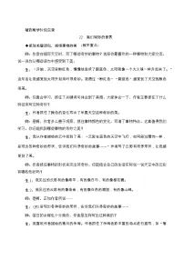 小学语文统编版（2024）三年级下册我们奇妙的世界导学案及答案