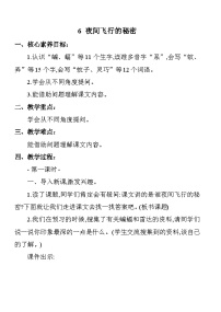 统编版（2024）四年级上册夜间飞行的秘密教案设计