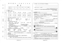 甘肃省武威市2024-2025学年四年级上学期期末语文试卷