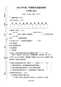广东省广州市增城区2024-2025学年第二学期六年级语文期末试卷（无答案）
