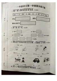 河北省廊坊市霸州市2024-2025学年一年级上学期1月期末语文试题