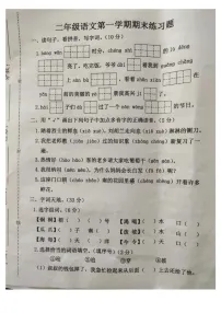 河北省廊坊市霸州市2024-2025学年二年级上学期1月期末语文试题