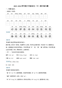 2023-2024学年安徽省阜阳市颍州区统编版六年级下册期中考试语文试卷（解析版）-A4