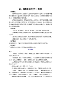 统编版（2024）四年级上册蟋蟀的住宅教案