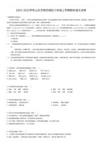 2024~2025学年山东济南历城区六年级上学期期末语文试卷（有答案解析）