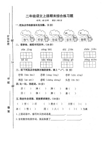 山东省济宁市邹城市2024-2025学年二年级上学期期末考试语文试题