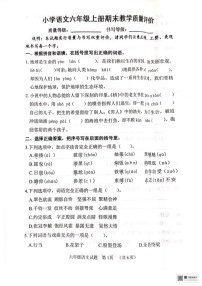 山东省聊城市冠县2024-2025学年六年级上学期期末语文试卷
