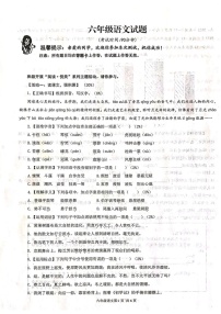 山东省青岛市李沧区2024-2025学年六年级上学期1月期末语文试题