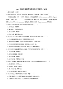 2025年陕西省商洛市洛南县小升初语文试卷