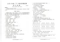 四川眉山市东坡区2023-2024学年三年级下学期期末质量监测语文试卷
