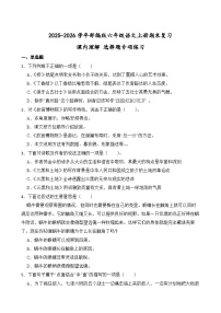 2025-2026学年部编版六年级语文上册期末复习课内理解 选择题专项练习（含答案解析）