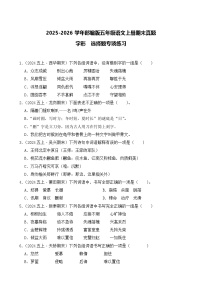 （期末真题）2025-2026学年部编版五年级语文上册期末真题字形  选择题专项练习（含答案解析）