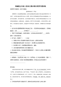 【课内阅读】统编版五年级上册语文期末课内阅读专题训练（含答案）