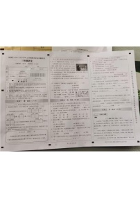 云南省昆明市官渡区2024-2025学年三年级上学期期末语文试卷