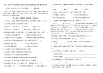 2025-2026学年统编版三年级上册语文期末综合素养提优卷(四)(含答案)