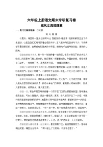十、现代文阅读理解一——2025-2026学年六年级上册语文期末专项复习卷（统编版）（含答案）
